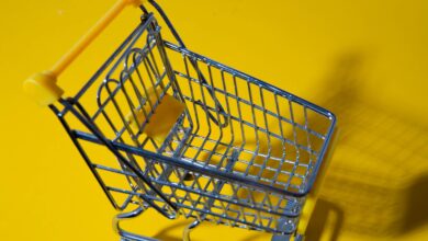 pexels sergey meshkov 8481889