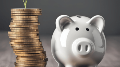 Ou investir pour les particuliers e1716483561109