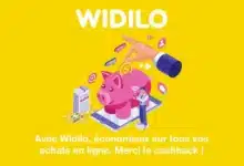 Widilo avis.png